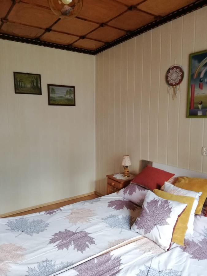 Wilkowice Apartament Nad Szumiacym Potokiem מראה חיצוני תמונה