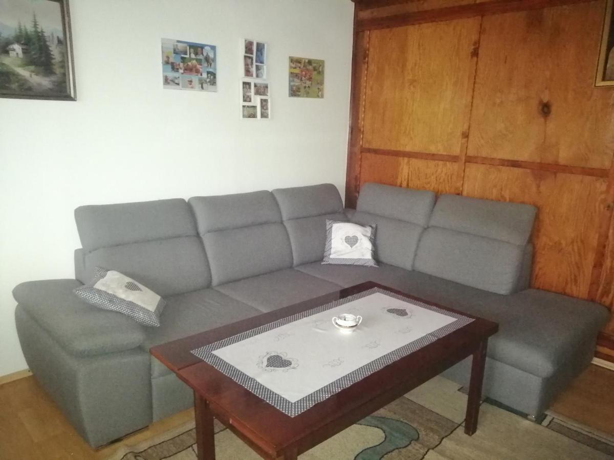 Wilkowice Apartament Nad Szumiacym Potokiem מראה חיצוני תמונה
