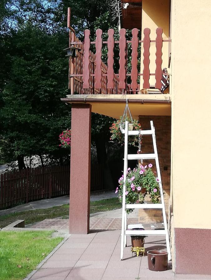 Wilkowice Apartament Nad Szumiacym Potokiem מראה חיצוני תמונה